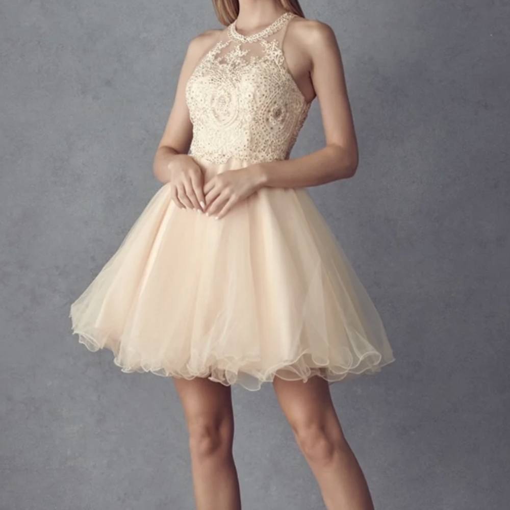 Juliet Evening Gown/ color: champagne.